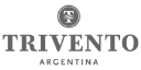 logo-norton